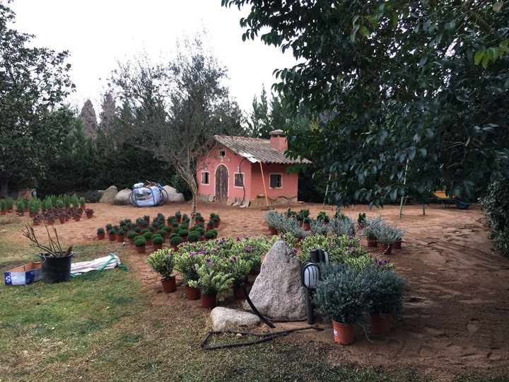 Jardín de De Buena Planta para una vivienda en Sant Cugat