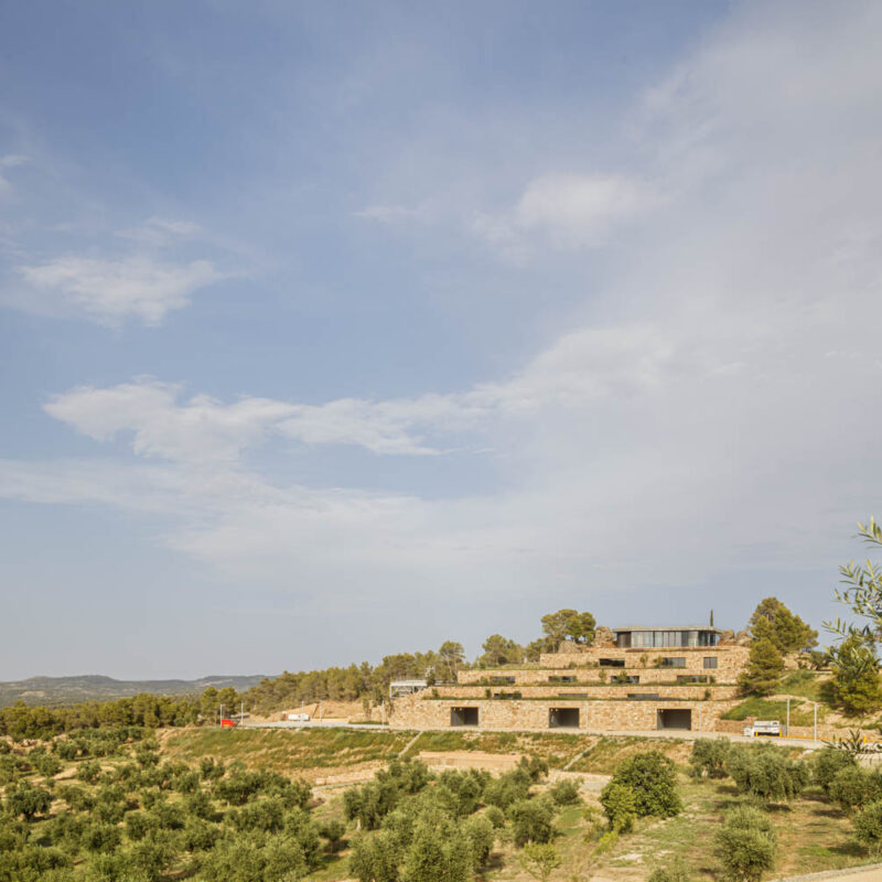 De Buena Planta - Cuadrat Valley