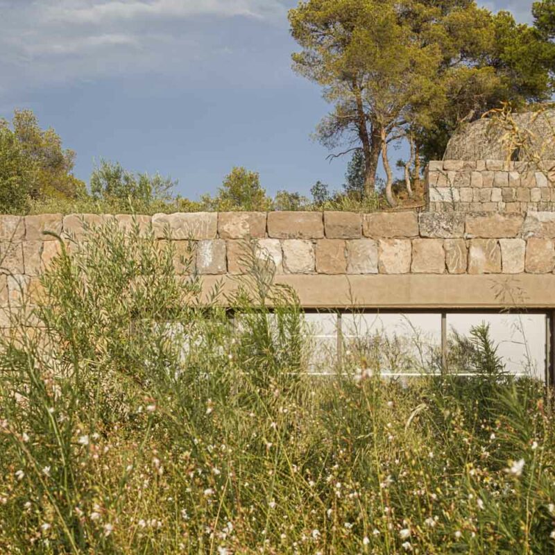 De Buena Planta - Cuadrat Valley