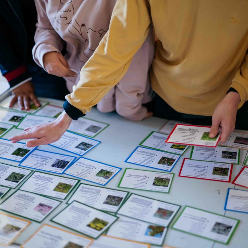 De Buena Planta - Centre Ecològic Cultural