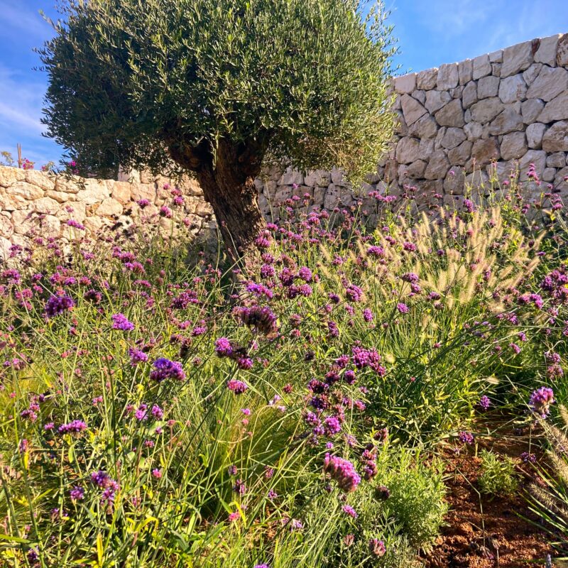 De Buena Planta - Casa en Ibiza