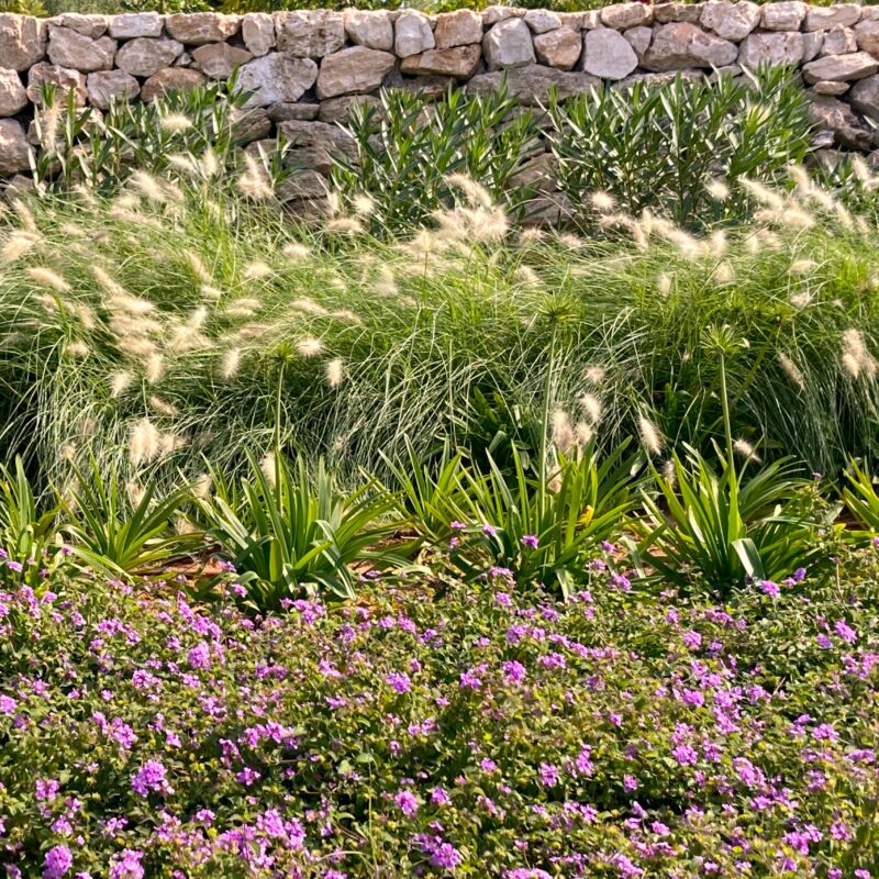 De Buena Planta - Casa en Ibiza