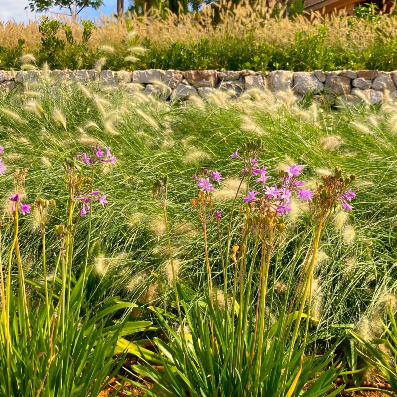 De Buena Planta - Casa en Ibiza
