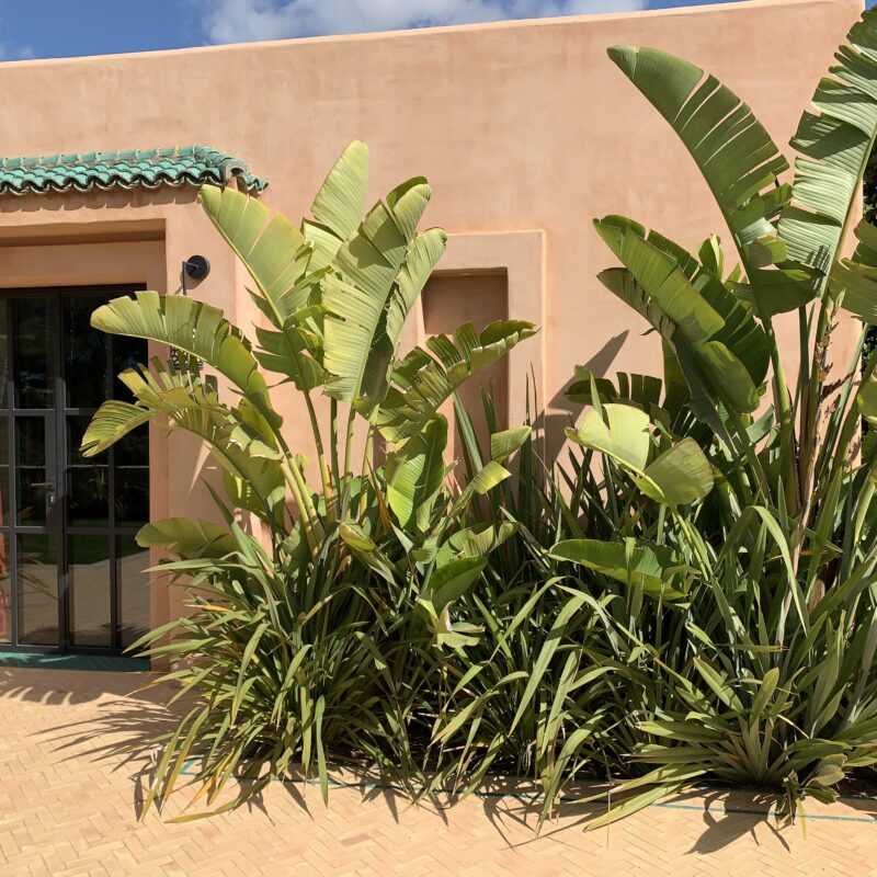 De Buena Planta - Casa en Ibiza