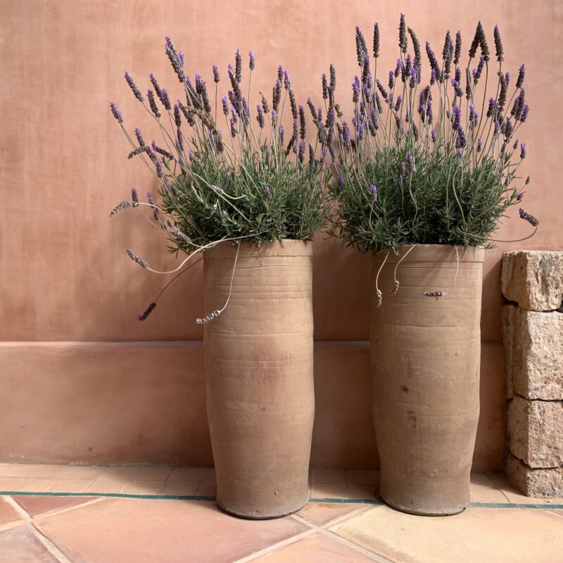 De Buena Planta - Villa en Ibiza