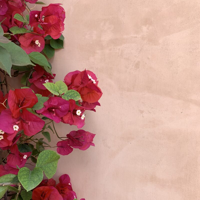 De Buena Planta - Villa en Ibiza