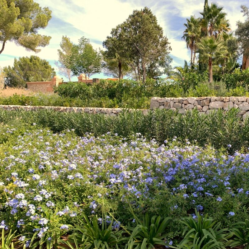 De Buena Planta - Villa en Ibiza