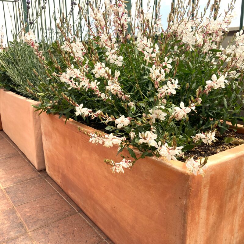 De Buena Planta - Ático en Hospital de Sant Pau