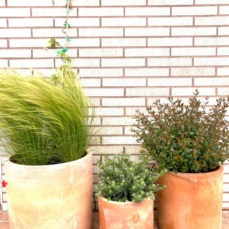 De Buena Planta - Ático en Hospital de Sant Pau