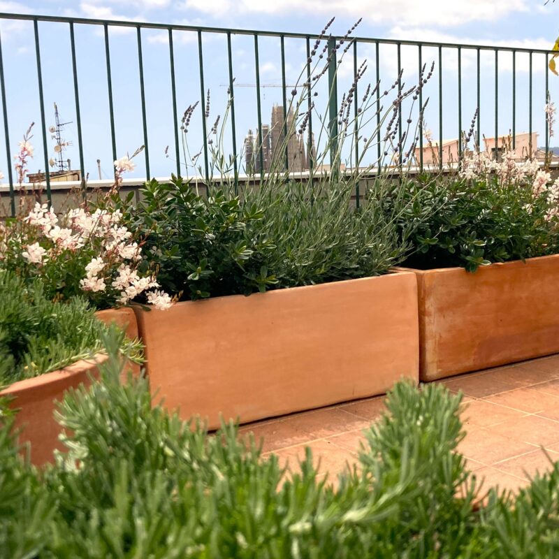 De Buena Planta - Ático en Hospital de Sant Pau