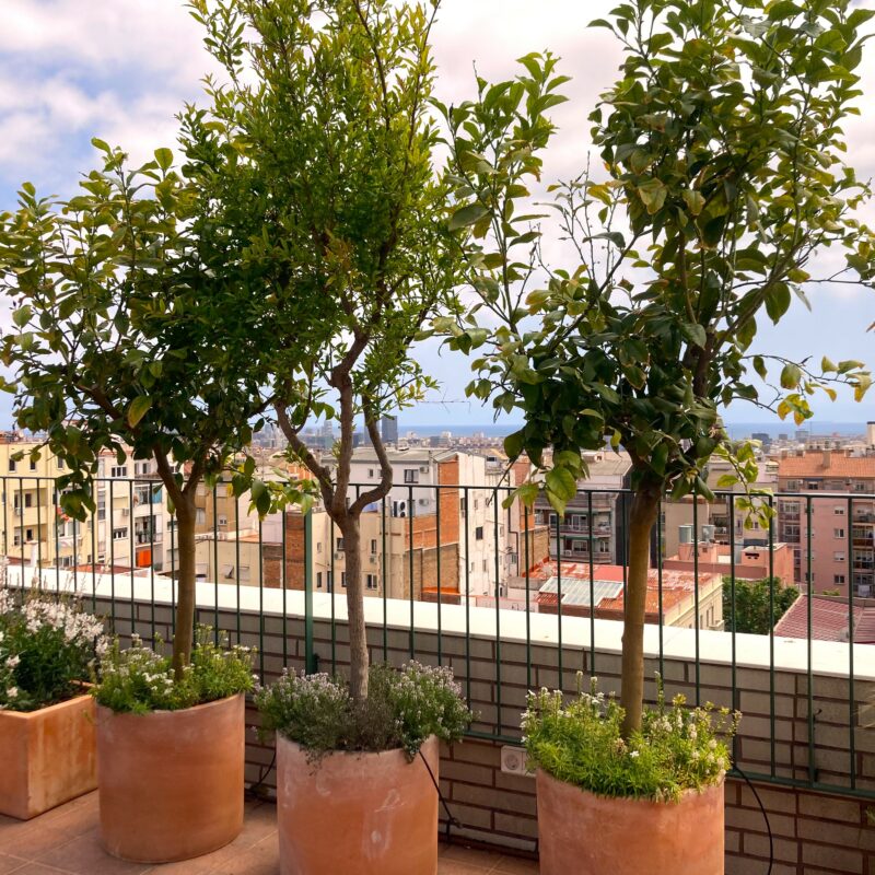 De Buena Planta - Ático en Hospital de Sant Pau
