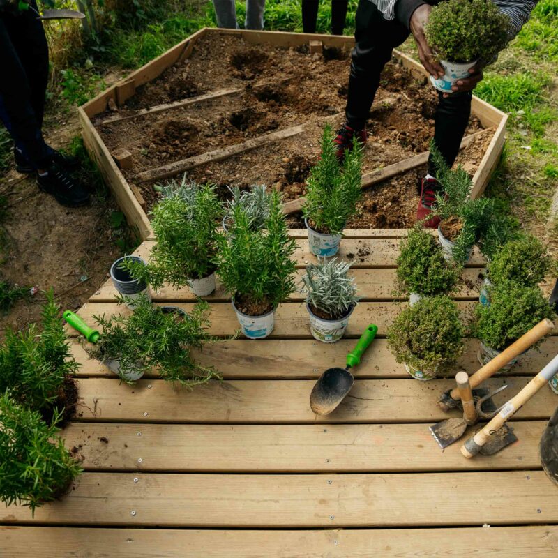 De Buena Planta - Centre Ecològic Cultural