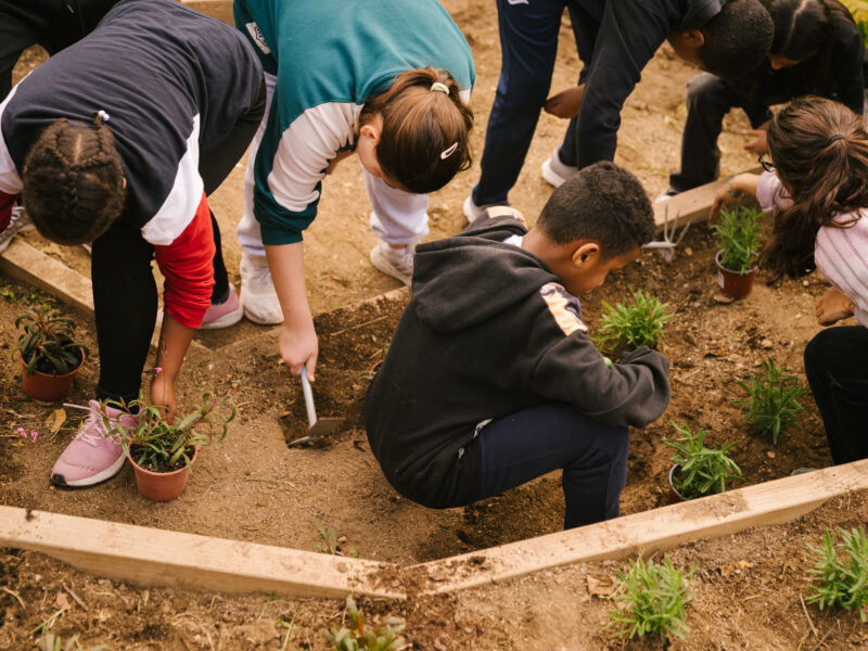 De Buena Planta - Centre Ecològic Cultural