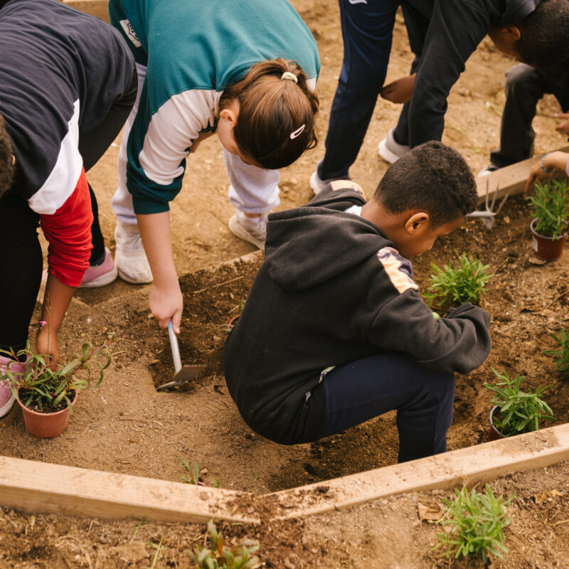 De Buena Planta - Centre Ecològic Cultural