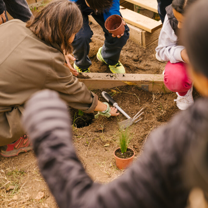 De Buena Planta - Centre Ecològic Cultural