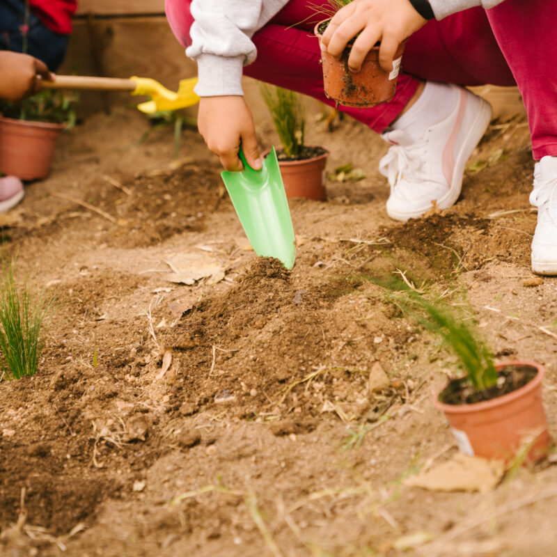 De Buena Planta - Centre Ecològic Cultural