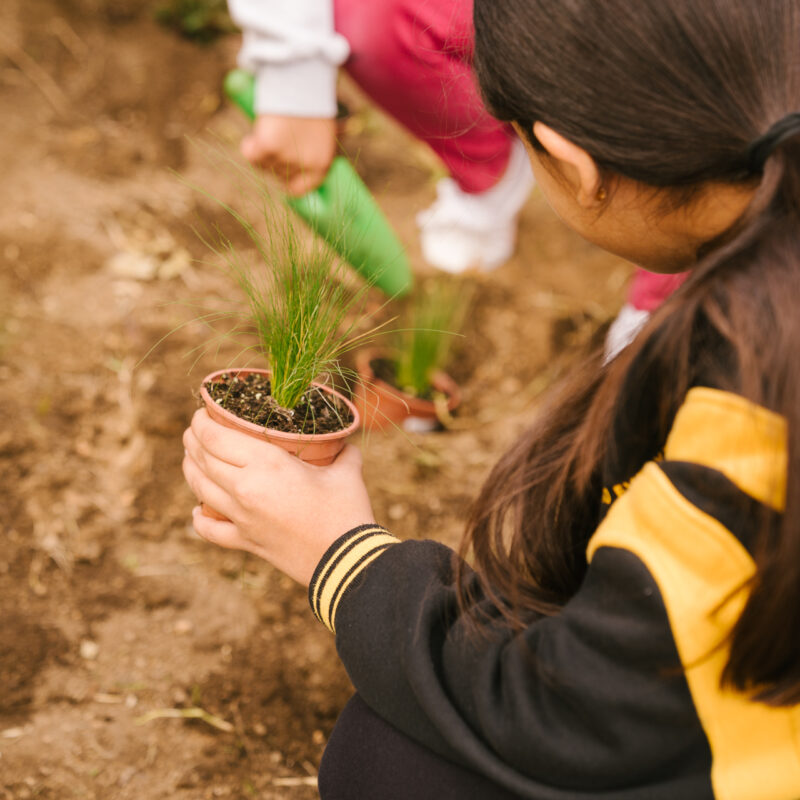 De Buena Planta - Centre Ecològic Cultural