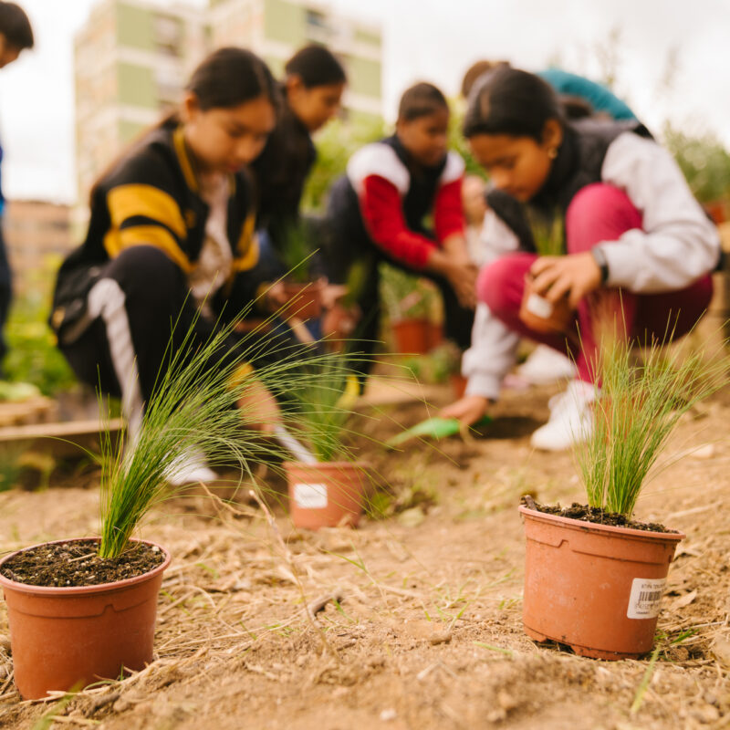 De Buena Planta - Centre Ecològic Cultural