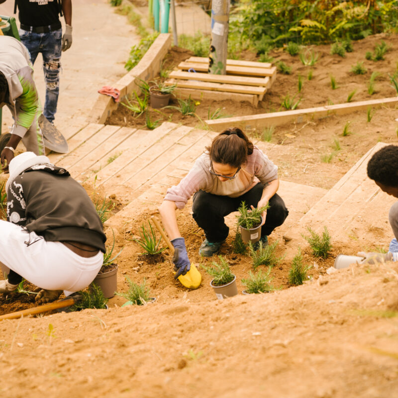 De Buena Planta - Centre Ecològic Cultural
