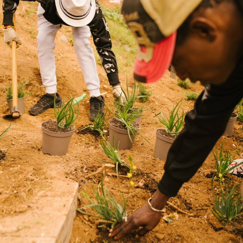 De Buena Planta - Centre Ecològic Cultural