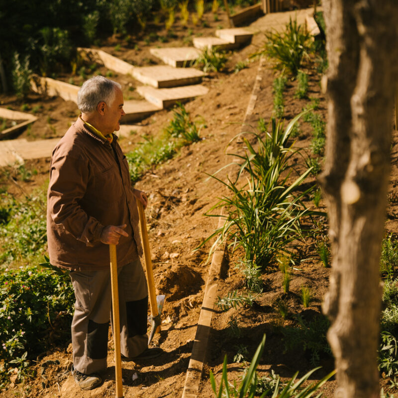 De Buena Planta - Centre Ecològic Cultural