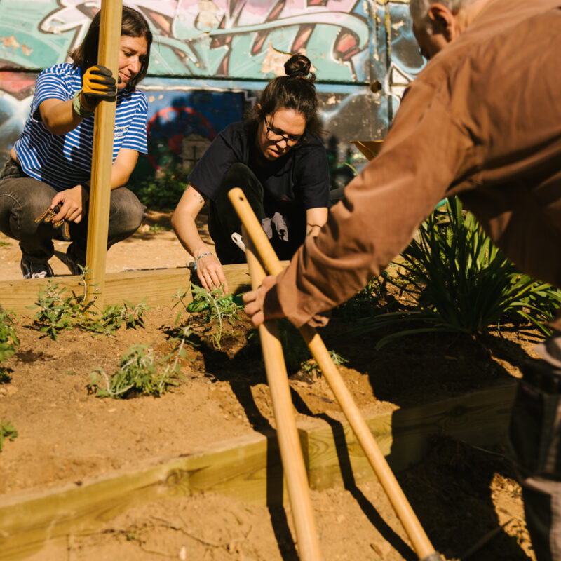 De Buena Planta - Centre Ecològic Cultural