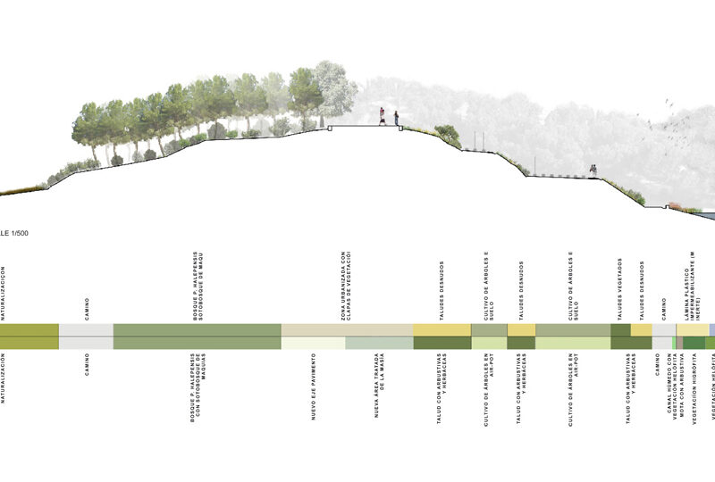 De Buen Planta - Primer premio concurso Santa&Cole