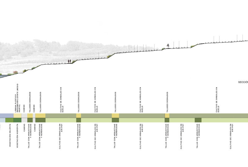 De Buen Planta - Primer premio concurso Santa&Cole