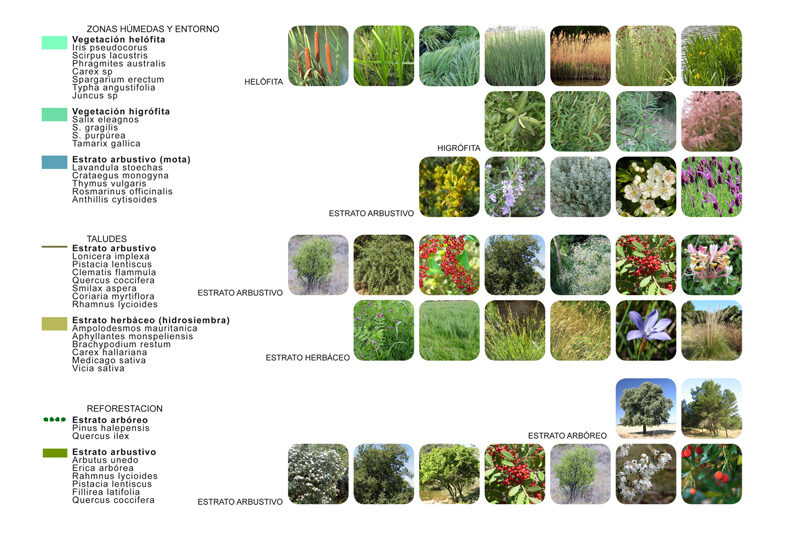 De Buen Planta - Primer premio concurso Santa&Cole