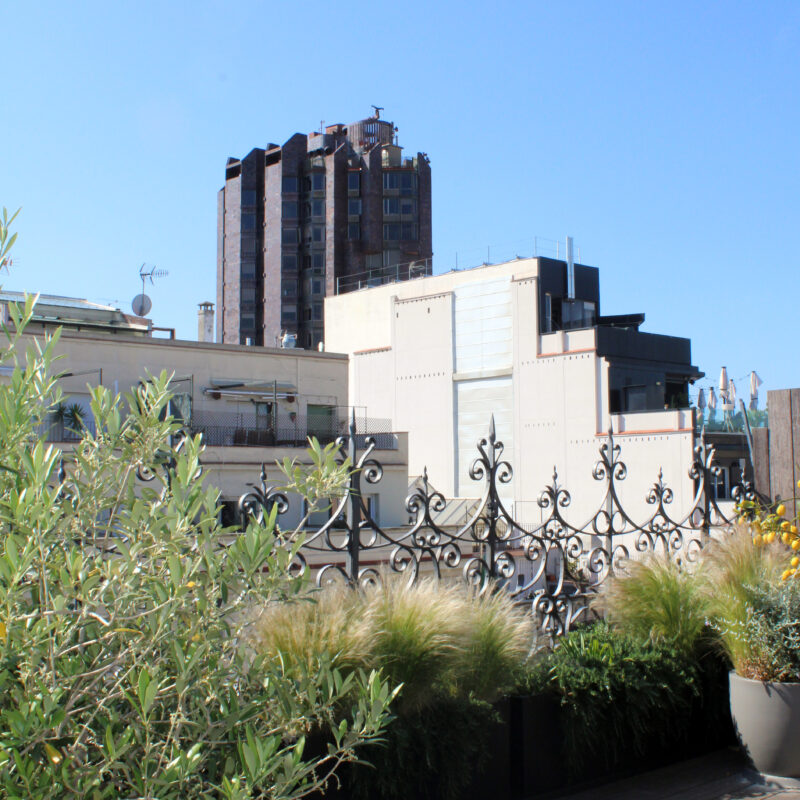 De Buena Planta - Ático en Barcelona