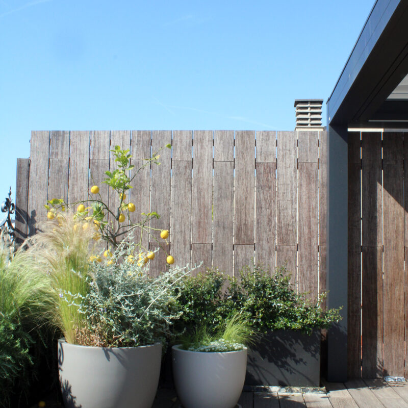 De Buena Planta - Ático en Barcelona