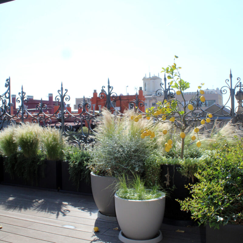 De Buena Planta - Ático en Barcelona