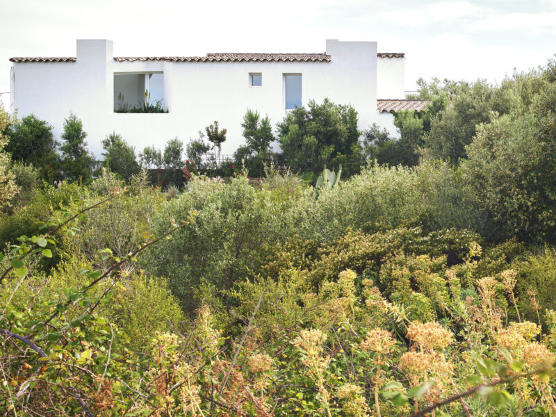 Jardinería en Vivienda de Cadaqués