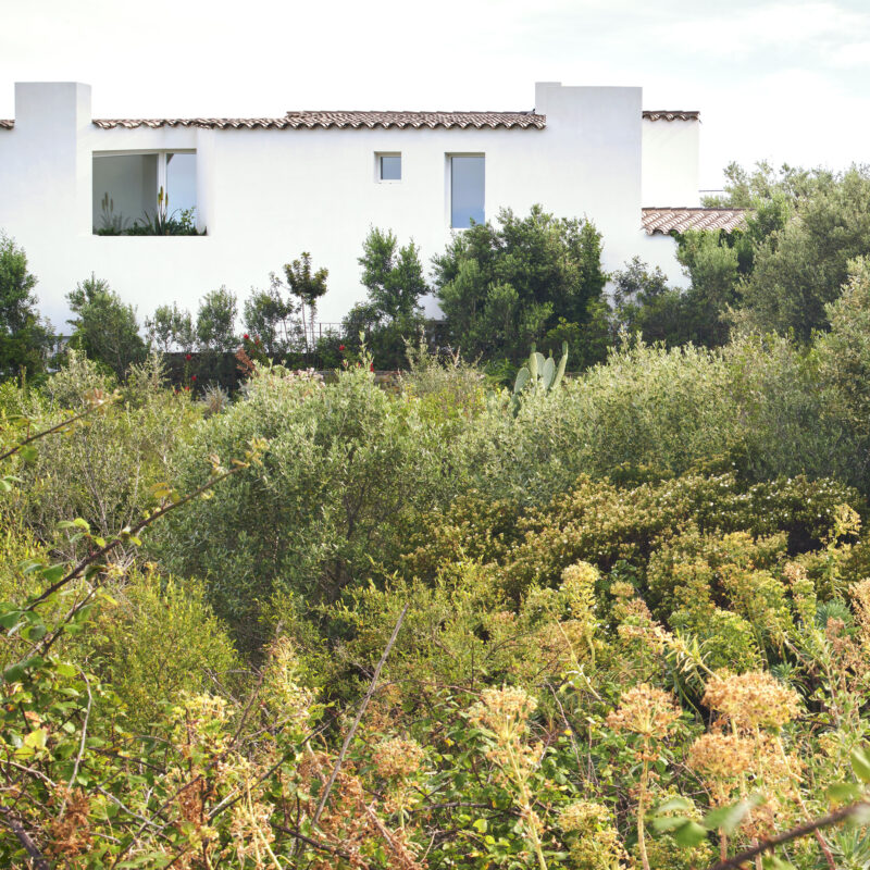 Jardinería en Vivienda de Cadaqués