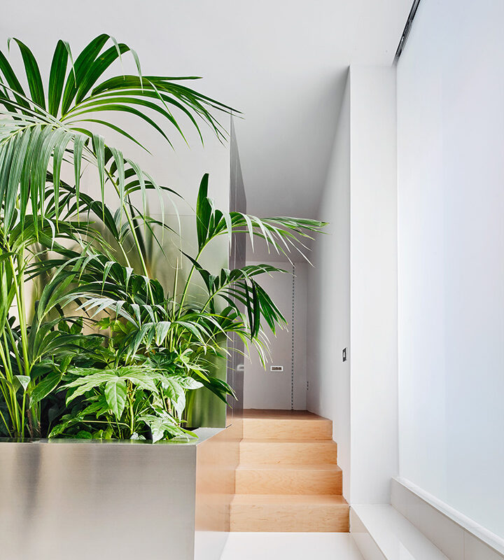 De Buena Planta - Interior en calle Pujades