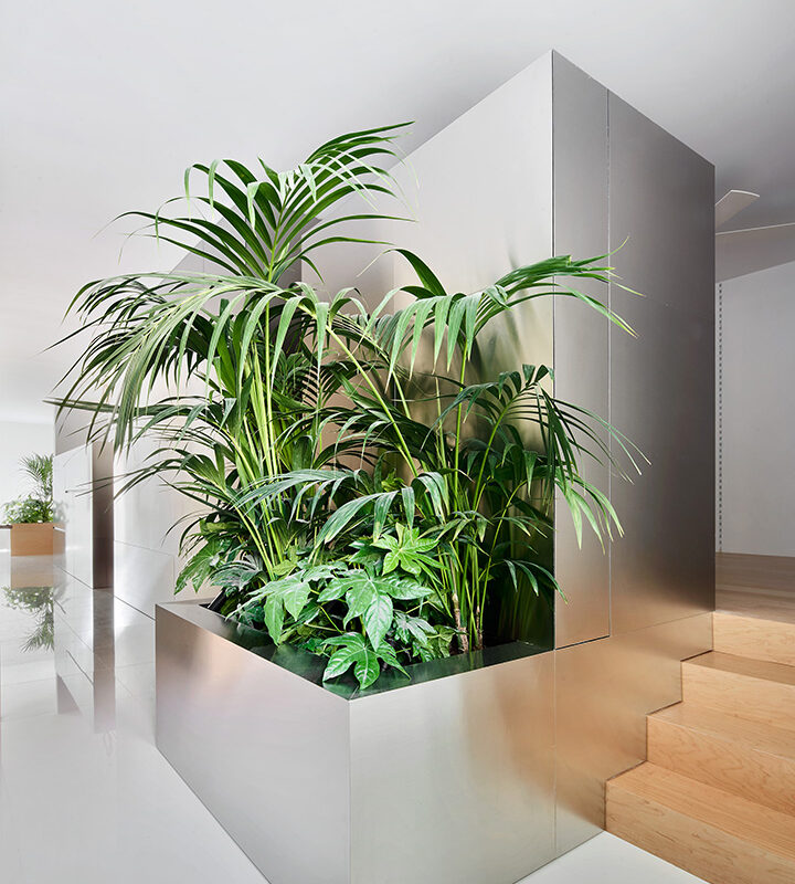 De Buena Planta - Interior en calle Pujades