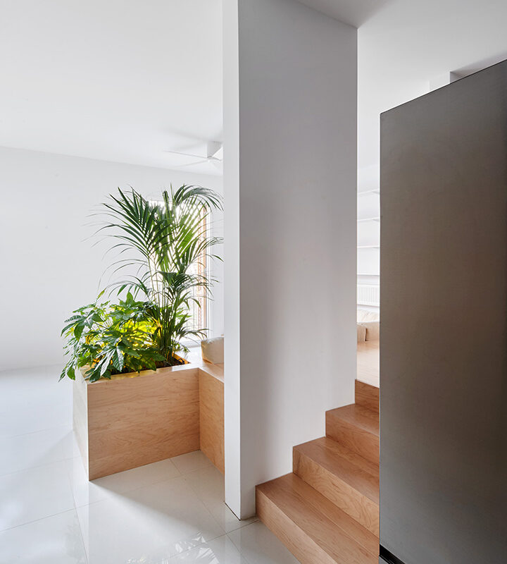 De Buena Planta - Interior en calle Pujades