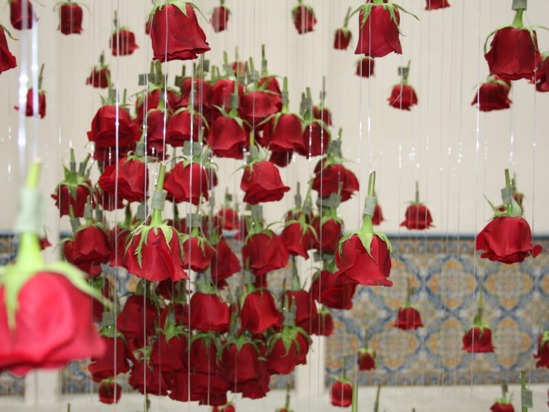 De Buena Planta - Instalación en el Palau Macaya