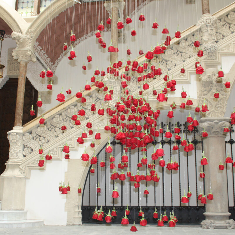 De Buena Planta - Instalación en el Palau Macaya