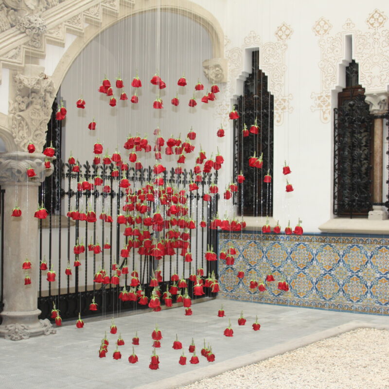 De Buena Planta - Instalación en el Palau Macaya
