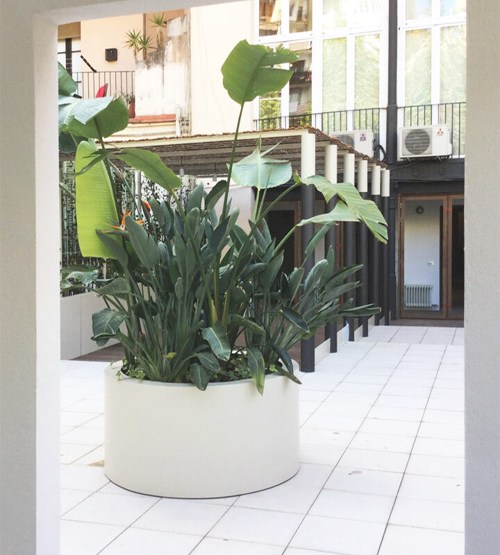 De Buena Planta - Patio en calle Valencia